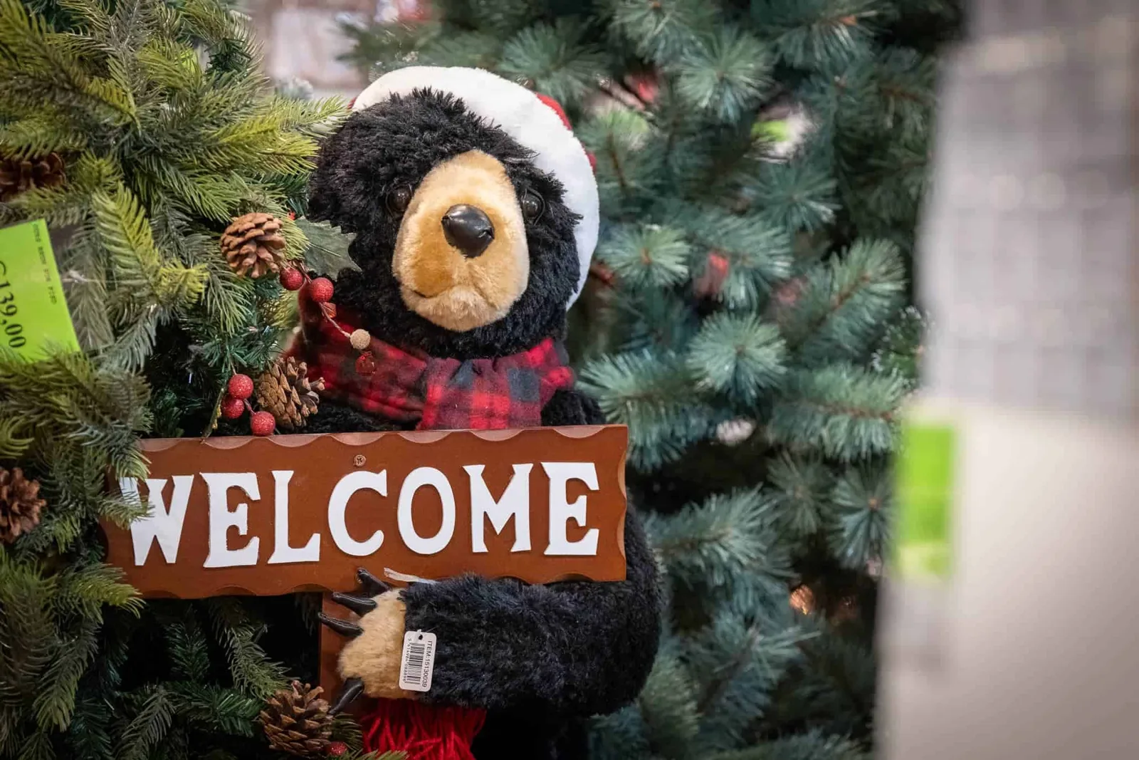 Réalisation de la visite virtuelle du marché de Noël au Brico City St Lambert