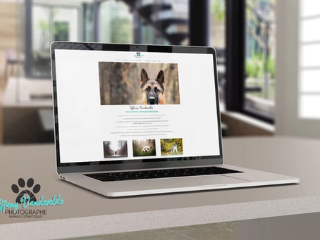 Création du site de Timilky Photographe d’animaux de compagnie